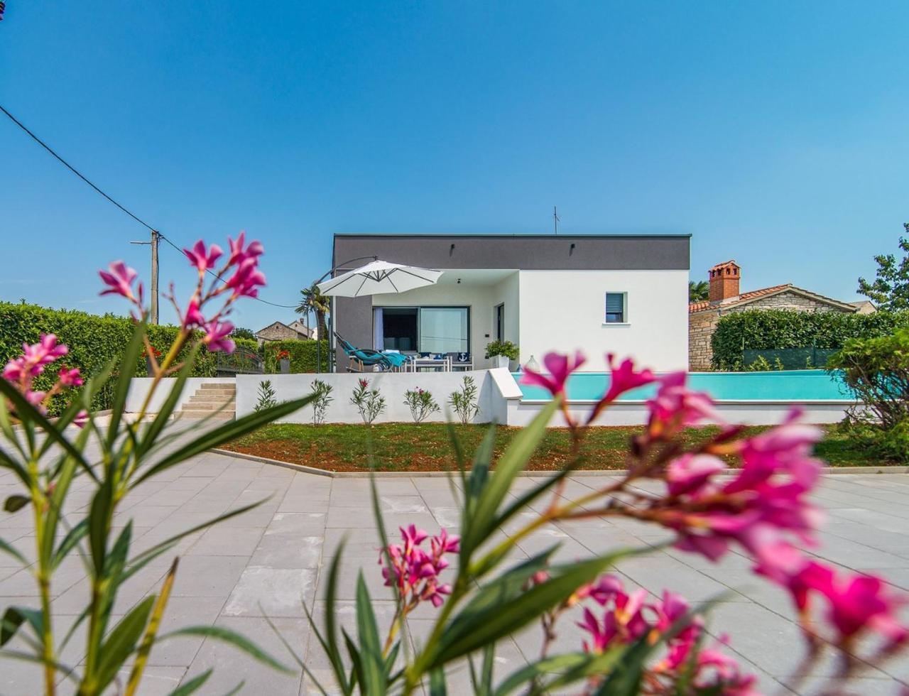 Villa Oleandra Sveti Petar u Sumi Ngoại thất bức ảnh